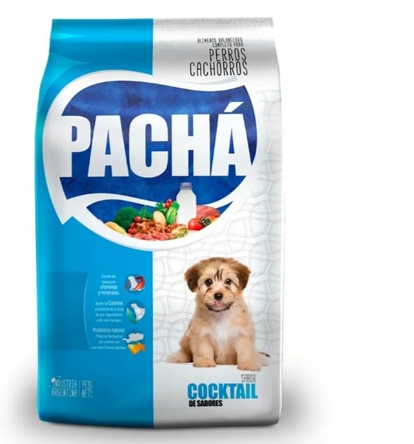 Pachá